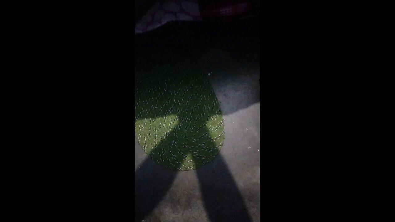 g3y