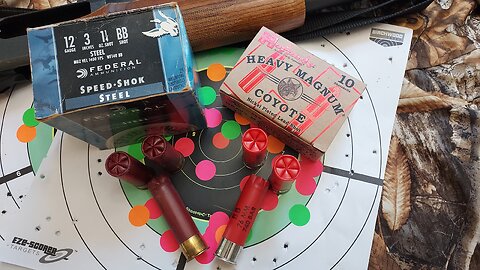 What is the difference between lead and steel BB shotshells?