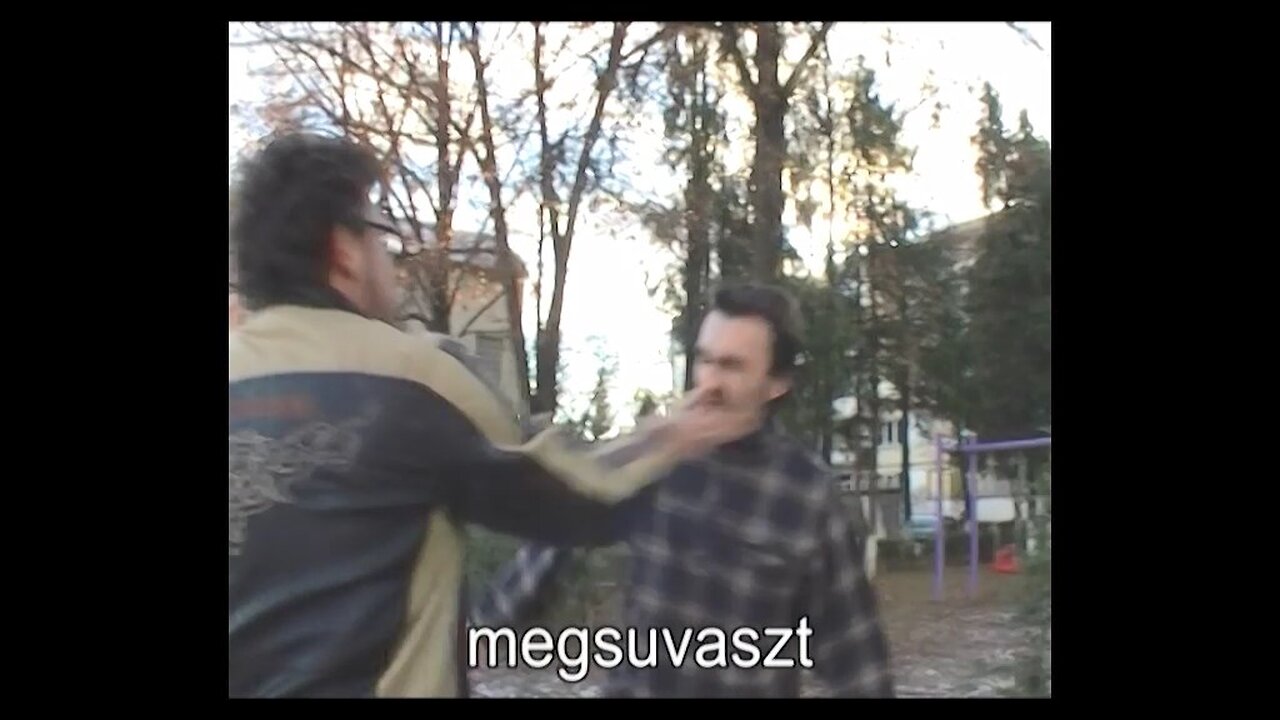 Székely nyelvlecke magyaroknak VII.