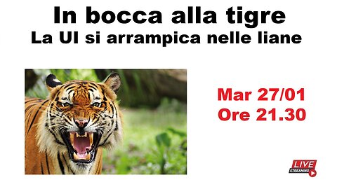 In bocca alla tigre - La UI si arrampica nelle liane