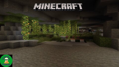 Minecraft PS4 Part 14