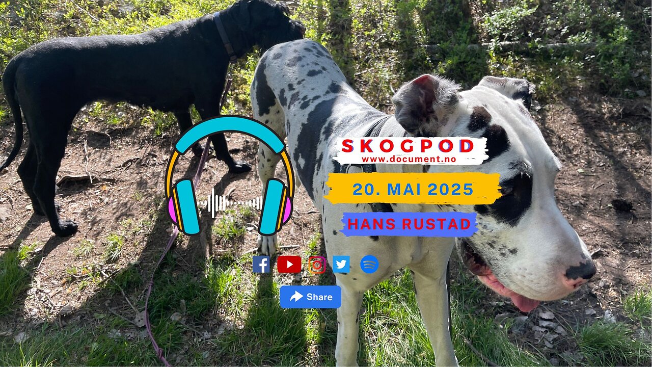 Skogpod 20. mai 2025