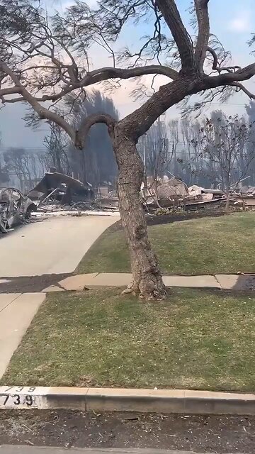 Today I drove through Pacific Palisades a year after the fires.