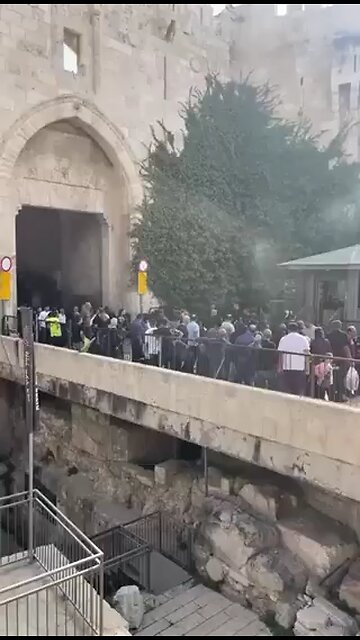 🚨 Israeli forces assault Palestinian worshippers outside Al-Aqsa Mosque