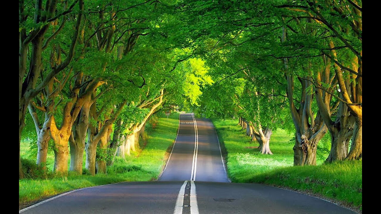 Detox Your Body and Mind - Daily Tibetan Flute Healing Session