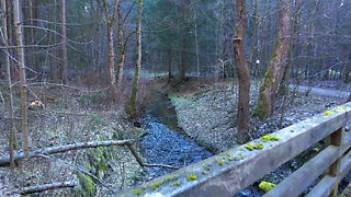 Into the Wild | Hiking through the Heart of the Forest