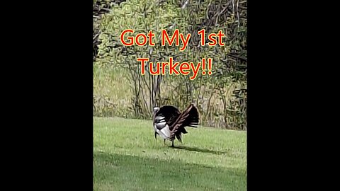 Bagged My First Turkey