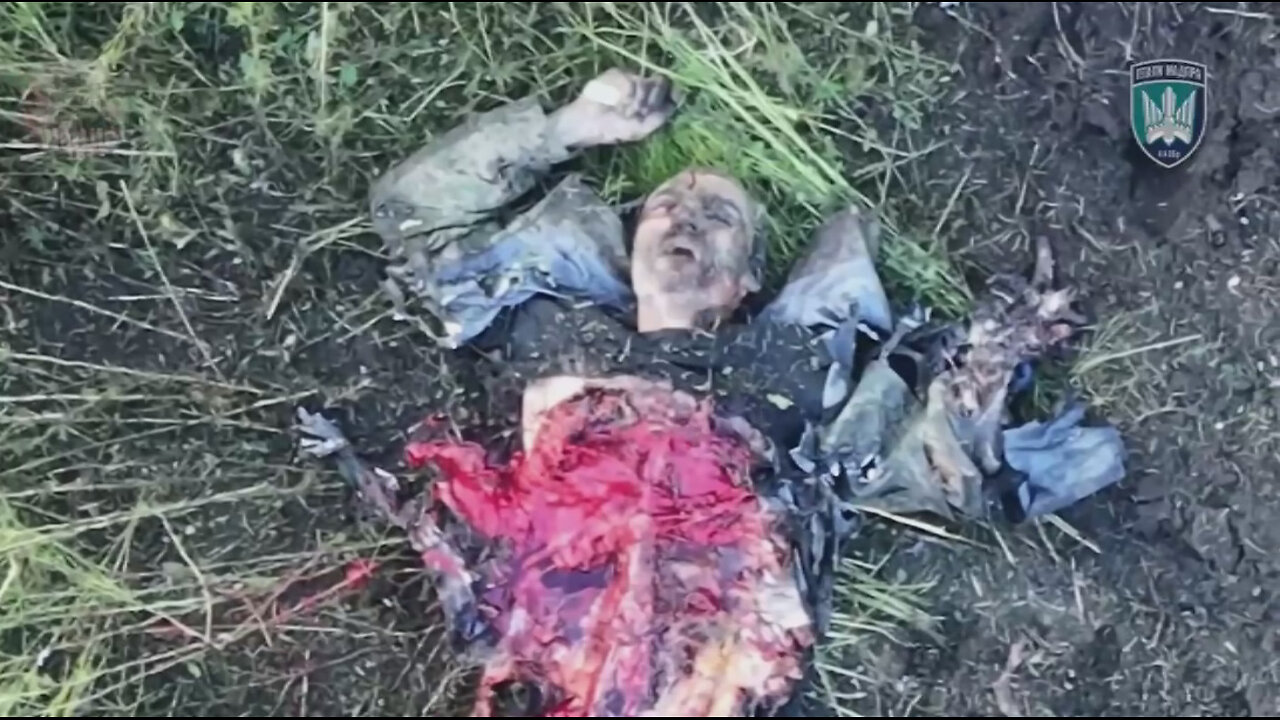 Война в Украине часть 414