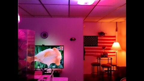 What a difference Govee lighting can make in your place.