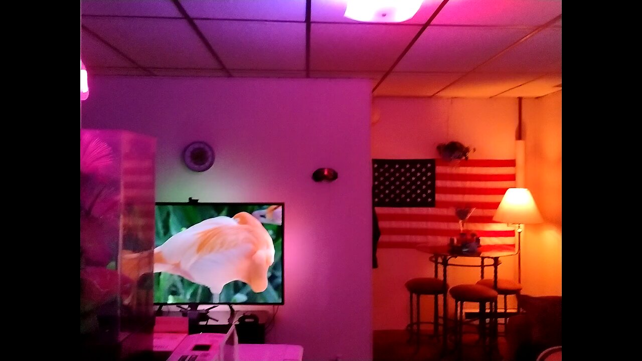 What a difference Govee lighting can make in your place.