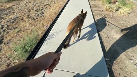Random Stream IRL