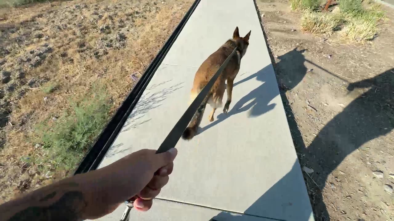 Random Stream IRL