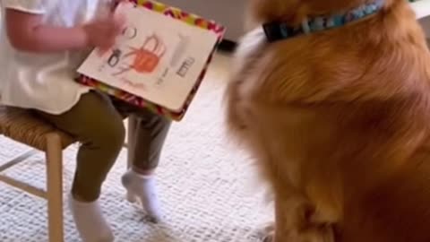 Cute Baby Playing with Animals | Adorable Baby and Pet Moments 2025