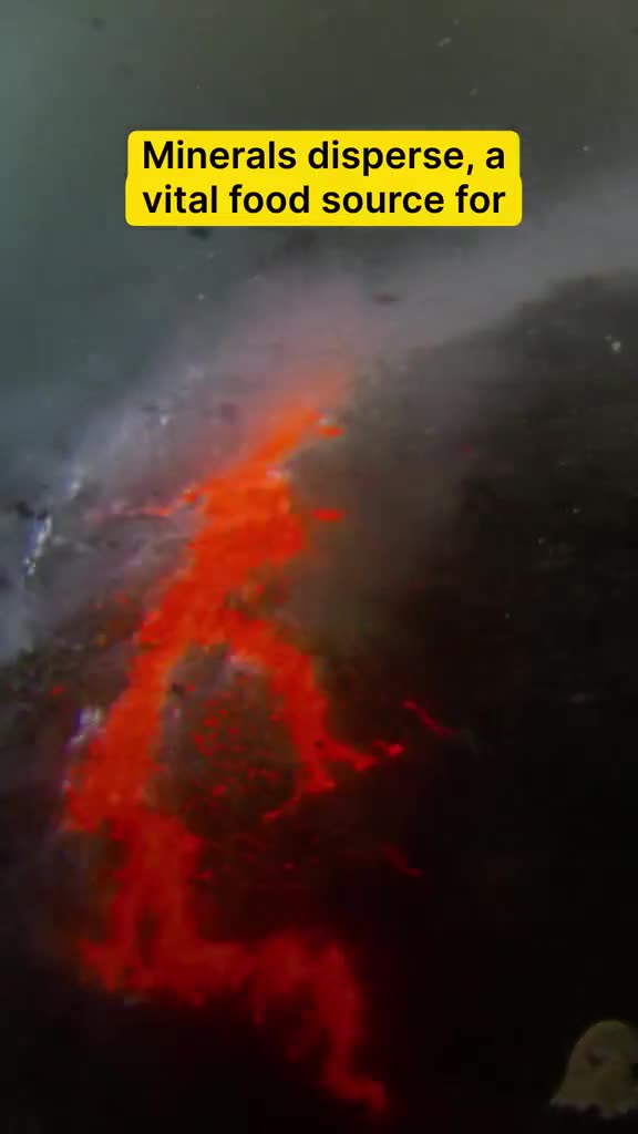 How underwater volcanoes bring life to the whole ocean