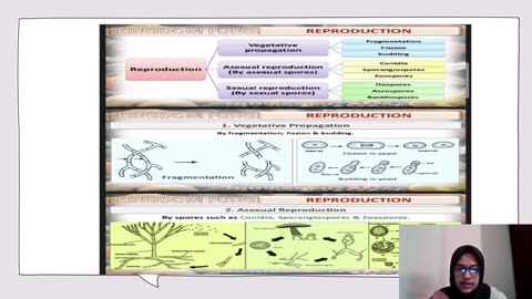 Plus Two Biology Chapter 2 Part 3