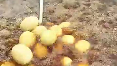 Amazing: How to crispy egg with chili salt recipe #cooking #shorts #short #recip