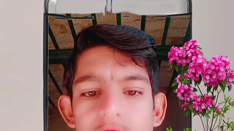 Capcut