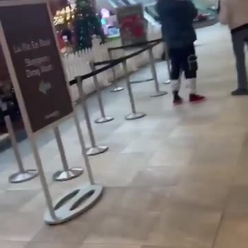 Footage from a Toronto mall shows a midday robbery at the Charm Diamond Centre.