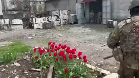 Ukrainian war