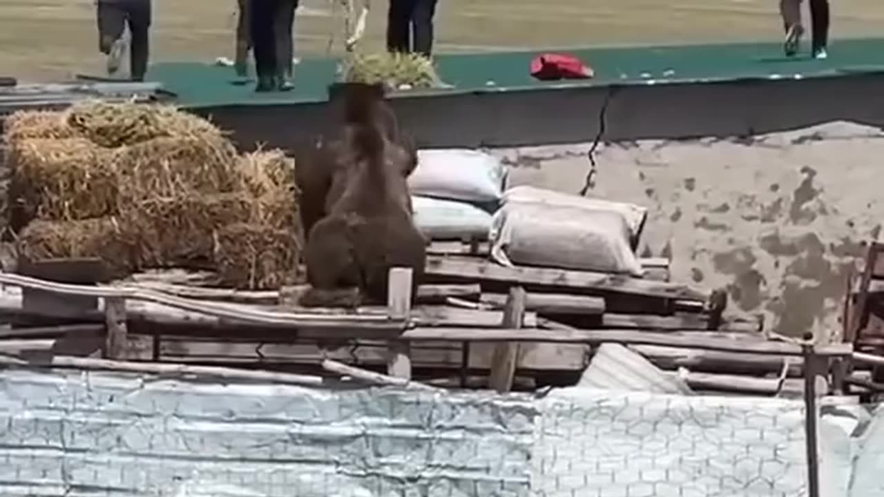 Funny