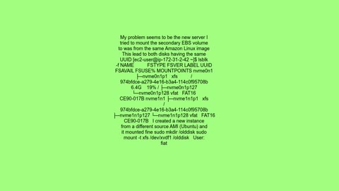Cannot mount an existing EBS on AWS