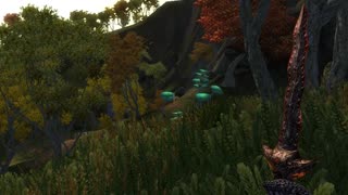 The Elder Scrolls IV: Oblivion