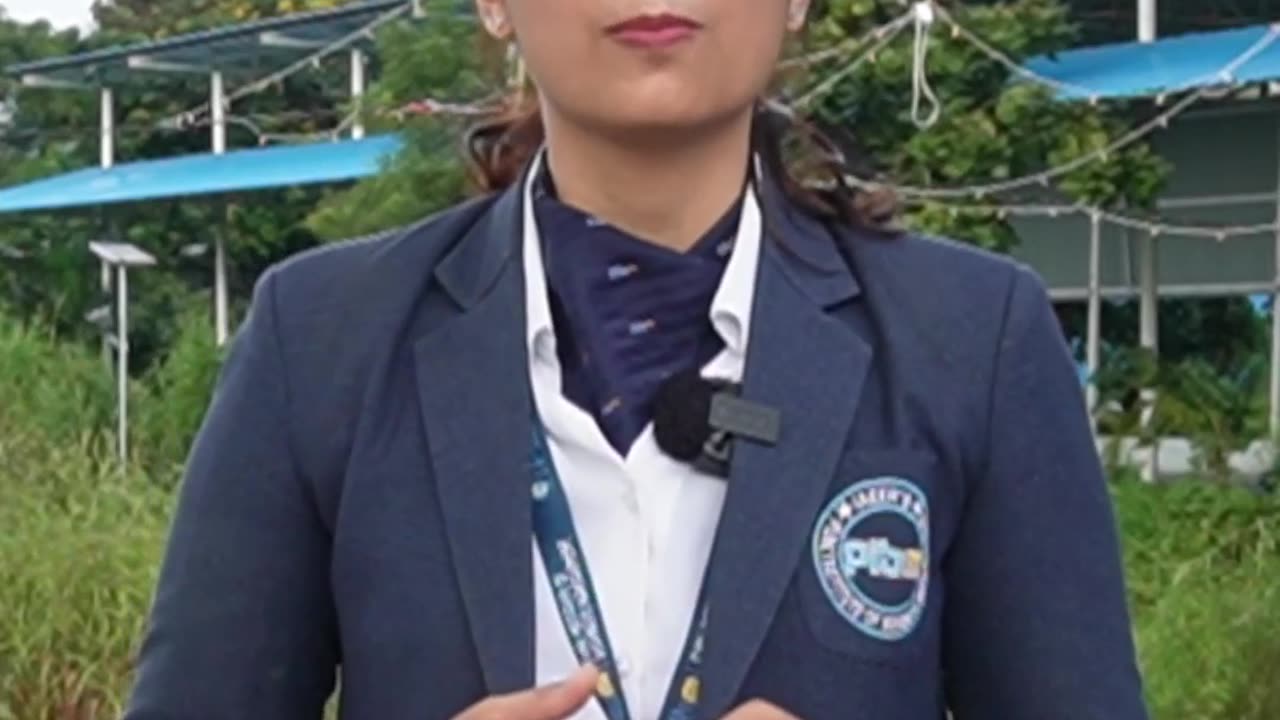 PIBM: Shaping Confident & Competent Finance Professionals | Alvarez & Marsal | MBA & PGDM Placements