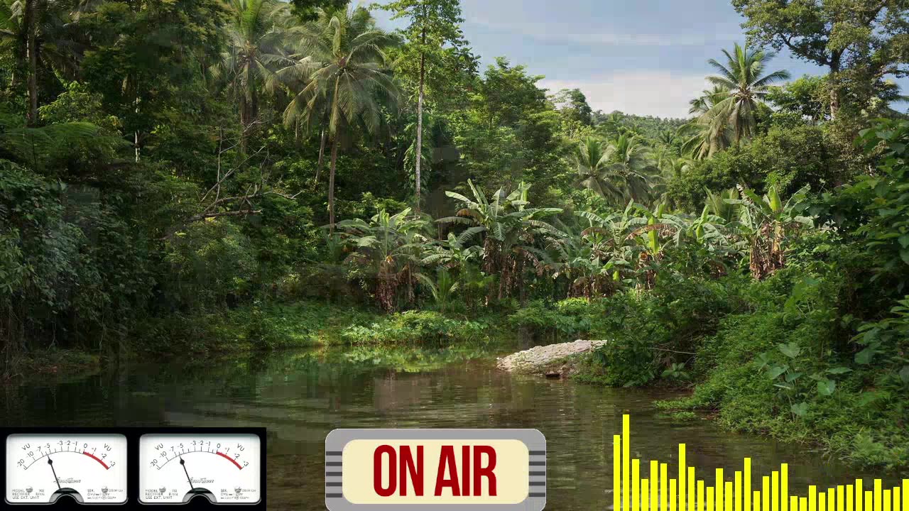 KoolStorm is Live w/ Restream.io w/LiQUID DRUM & BASS MIX