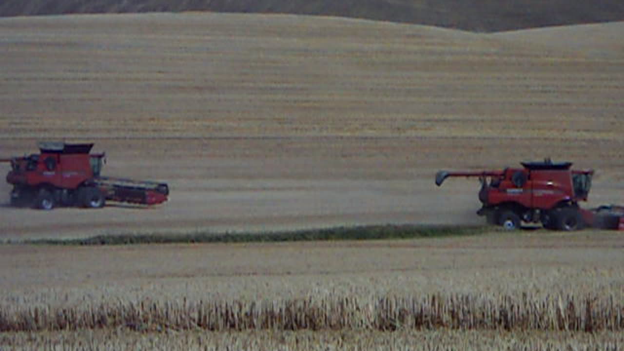 Harvest: Its what we do