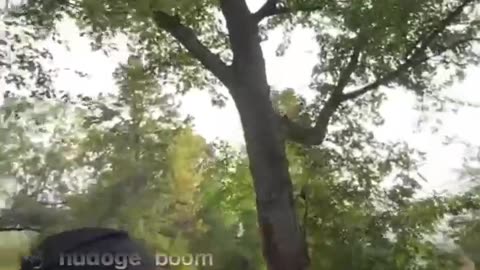 BARRICADE GARAGE LIVE today calls out Adam Camacho the Grifter 💥🪳🔥