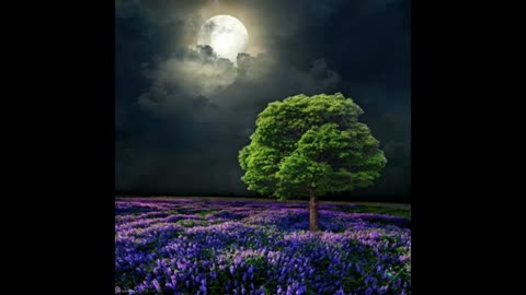 Heavenletter 6552 Published on January 3, 2019 Channeled by Gloria Wendroff
