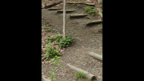 Labrador Hollow Unique Area