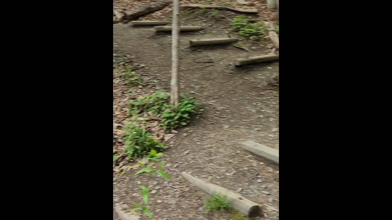 Labrador Hollow Unique Area