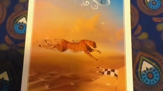 Oracle Card Reading 6/2/25