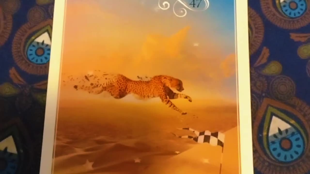 Oracle Card Reading 6/2/25