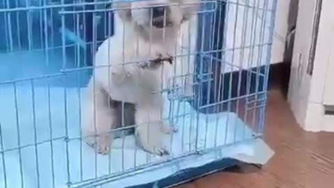 You know it's hot out when you see this 😂