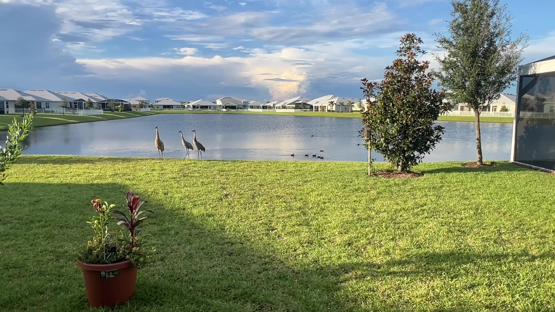 Heavenly Scenese today: 8-21-2025