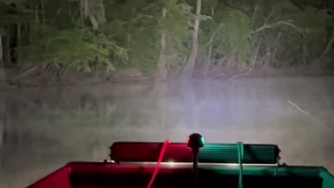Foggy Little Pee Dee River
