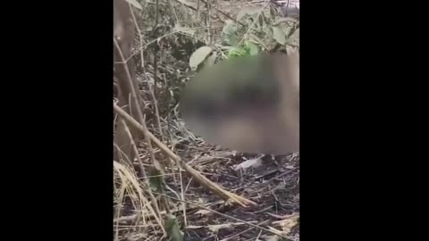 🇲🇲🚁 Rebels shoot down Russian-backed Myanmar government forces Mi-17 helicopter.