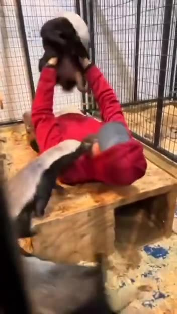 They are just checking to see if you are OK 😊