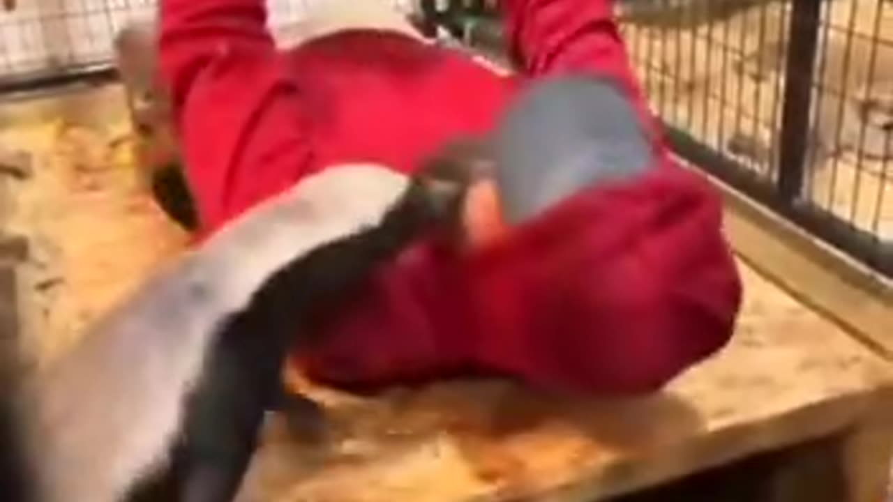 They are just checking to see if you are OK 😊