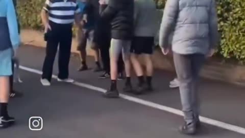 Pakistanis Attack Elderly Irish