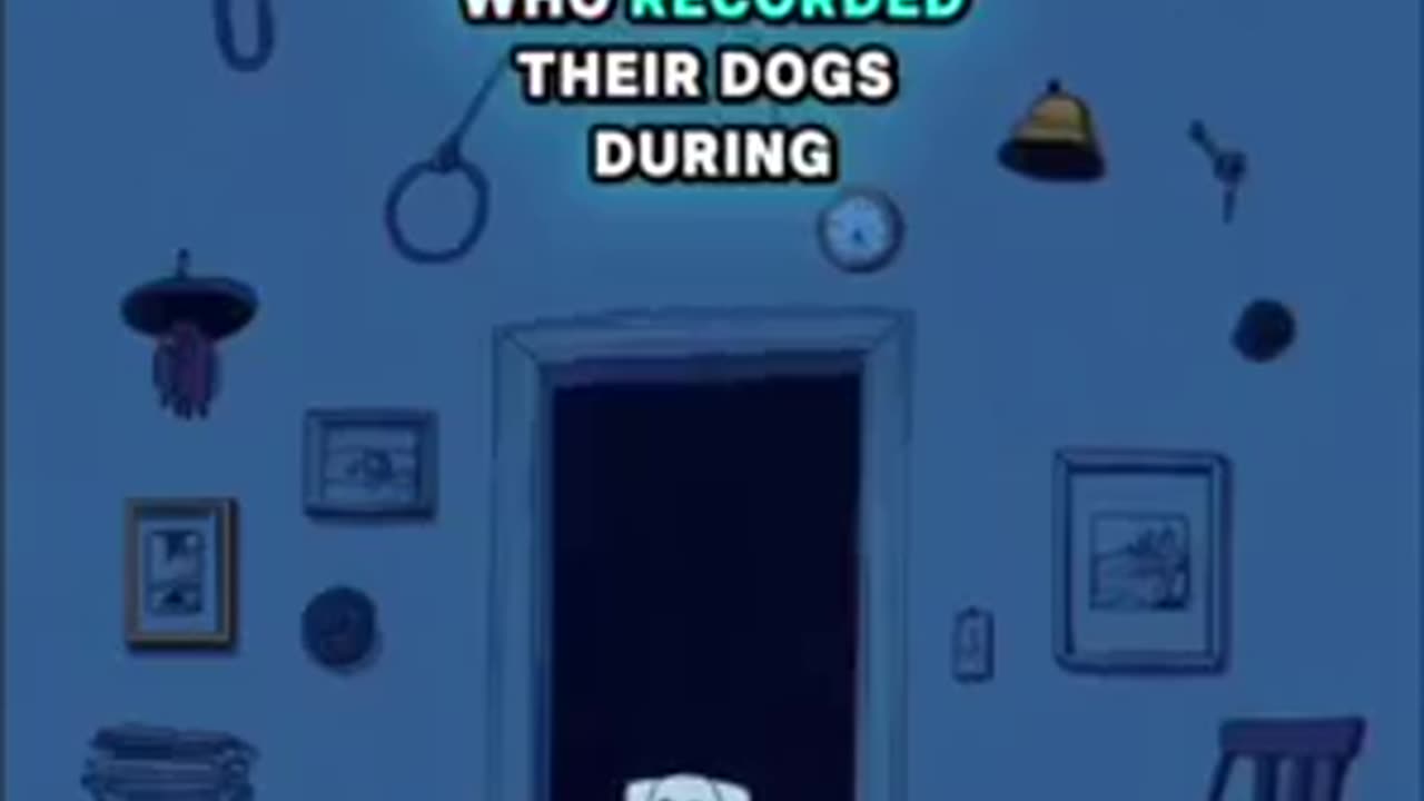 How dogs deal with the death of a loved one