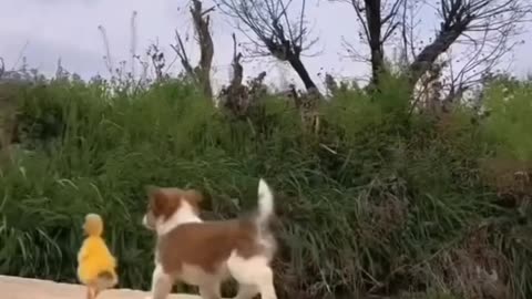 So cute