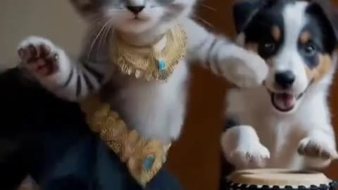 Funny Cat dance