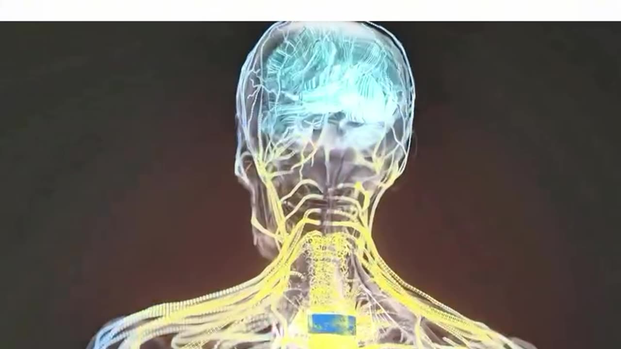 YOU CAN ESCAPE DEATH WITH A HEAD TRANSPLANT