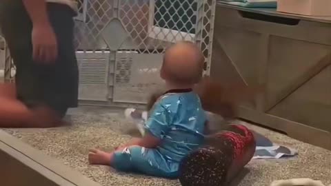 Dogs with Babies