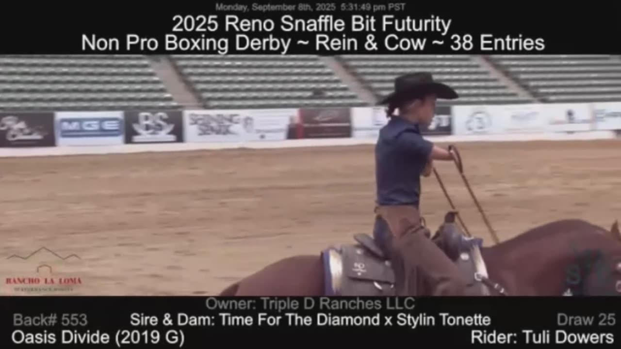 Never Let The Bastards Grind You Down. Dream Your Life, Live Your Dreams.