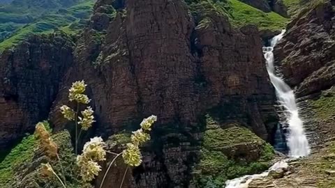 Natural scene
