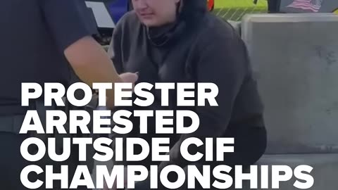 Video shows counter-protester carrying trans flag attack vehicle, gets arrested